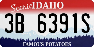 ID license plate 3B6391S