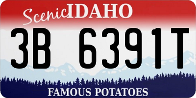 ID license plate 3B6391T