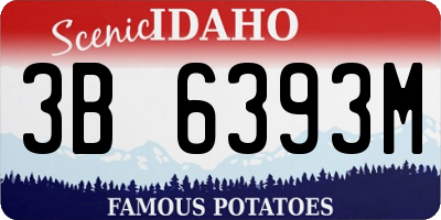 ID license plate 3B6393M