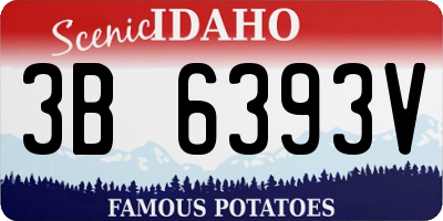 ID license plate 3B6393V
