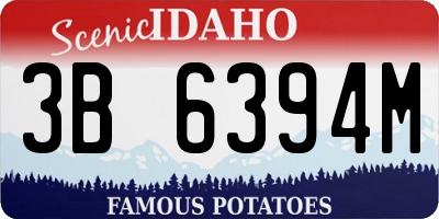 ID license plate 3B6394M