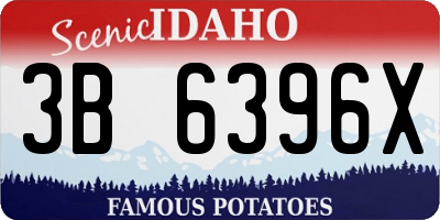 ID license plate 3B6396X