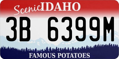 ID license plate 3B6399M