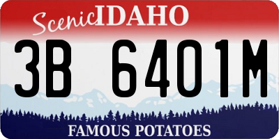 ID license plate 3B6401M
