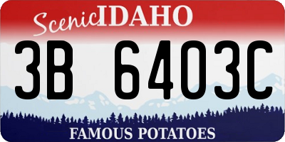 ID license plate 3B6403C