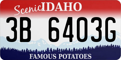 ID license plate 3B6403G