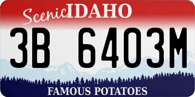 ID license plate 3B6403M