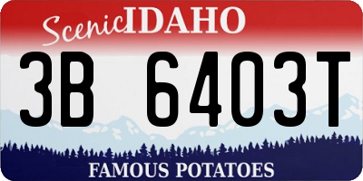 ID license plate 3B6403T