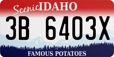 ID license plate 3B6403X