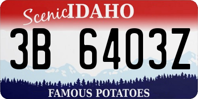 ID license plate 3B6403Z