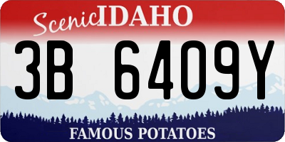 ID license plate 3B6409Y