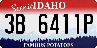 ID license plate 3B6411P