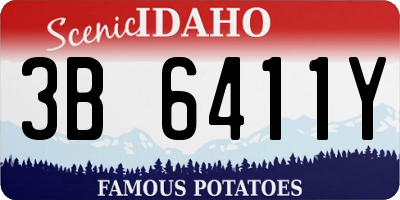 ID license plate 3B6411Y
