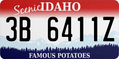 ID license plate 3B6411Z