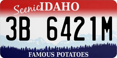ID license plate 3B6421M