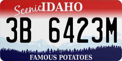 ID license plate 3B6423M