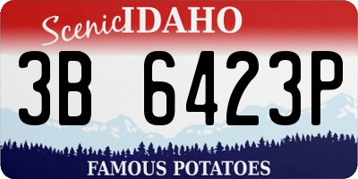 ID license plate 3B6423P