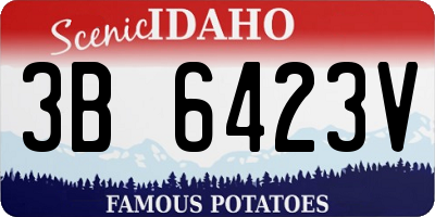 ID license plate 3B6423V