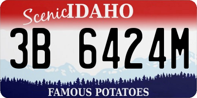 ID license plate 3B6424M