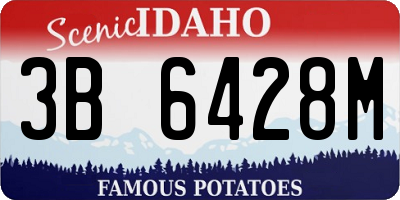 ID license plate 3B6428M
