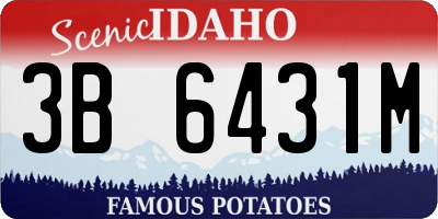 ID license plate 3B6431M
