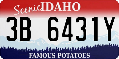 ID license plate 3B6431Y