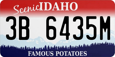 ID license plate 3B6435M
