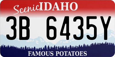 ID license plate 3B6435Y