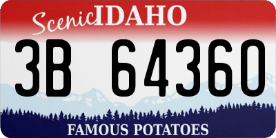 ID license plate 3B6436O