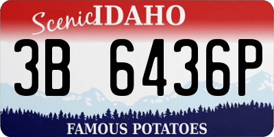 ID license plate 3B6436P