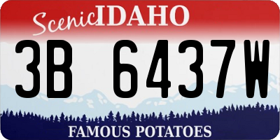 ID license plate 3B6437W