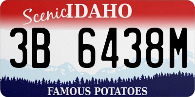ID license plate 3B6438M