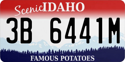 ID license plate 3B6441M