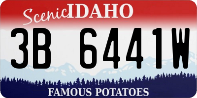 ID license plate 3B6441W