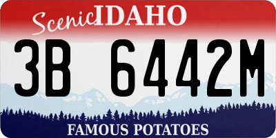 ID license plate 3B6442M