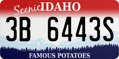 ID license plate 3B6443S