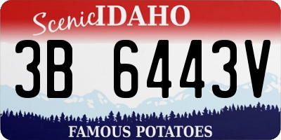 ID license plate 3B6443V