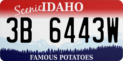 ID license plate 3B6443W