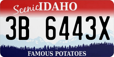 ID license plate 3B6443X
