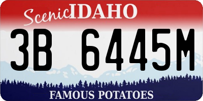 ID license plate 3B6445M