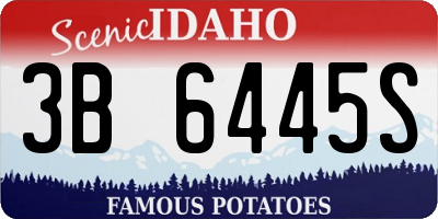 ID license plate 3B6445S