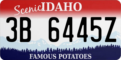 ID license plate 3B6445Z