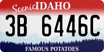 ID license plate 3B6446C