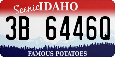 ID license plate 3B6446Q