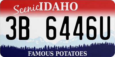 ID license plate 3B6446U