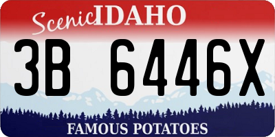 ID license plate 3B6446X