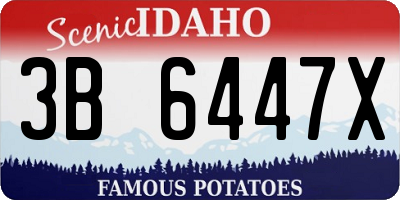 ID license plate 3B6447X