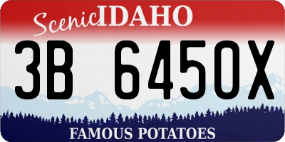 ID license plate 3B6450X