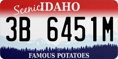 ID license plate 3B6451M