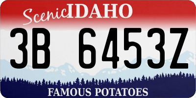 ID license plate 3B6453Z